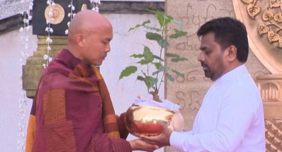 Sri Maha Bodhi Sapling Presented To Walk For Peace
